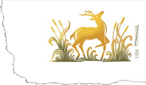 deerstamp2013