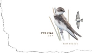 U.S. POSTAL SERVICE BANK SWALLOW FOREVER STAMPED ENVELOPE