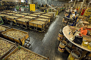 ammunition