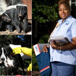 postal news, letter carriers