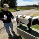 Farmer Jason Canjar gets his mail at his Madison Township dairy farm. Butch Comegys / Staff Photographer