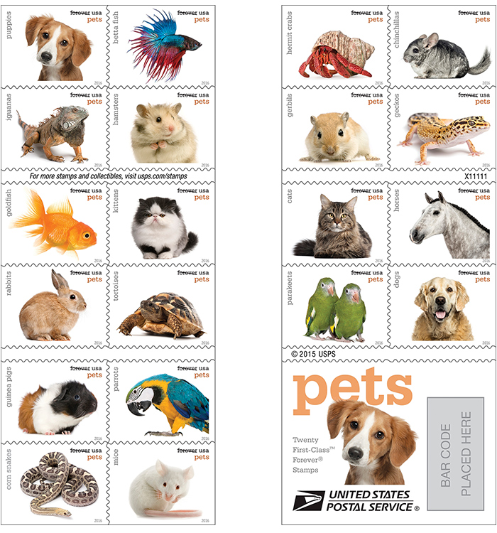 pets206