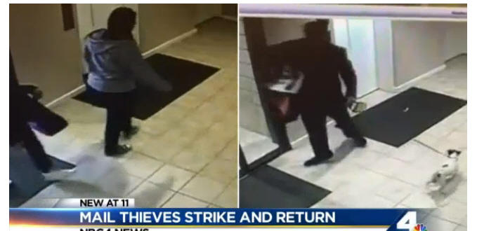 Video: Mail Theft Caught on Camera Twice in LA Building