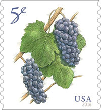 USPS: 2016 is an Excellent Year for Grapes Stamps