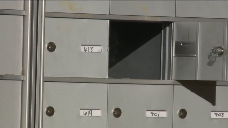 Video: TV Station gets involved to help residents of Colorado apartment complex mail delivery problem 