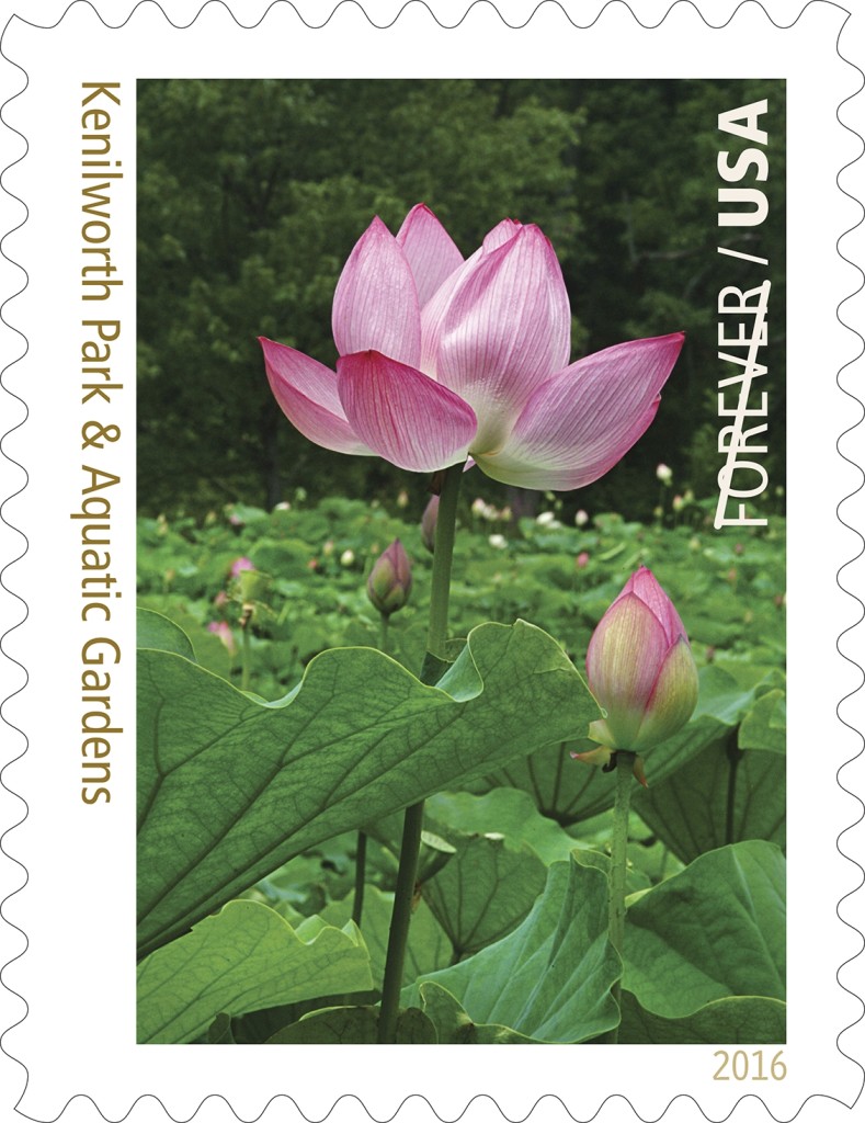 Kenilworth Park & Aquatic Gardens is 11th of 16 Stamps Celebrating National Park Service’s Centennial