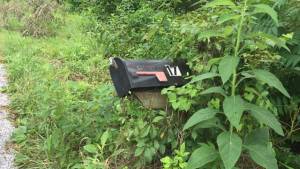 Video: Around 70 mailboxes destroyed, bashed in Nashville