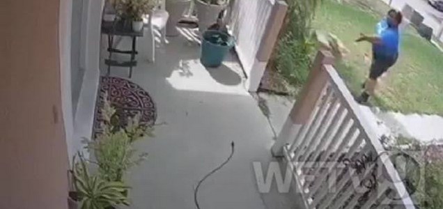 throwpackage