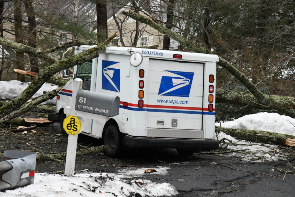 treemailtruck