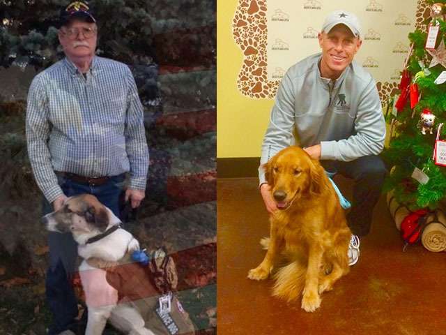 veterans service dogs