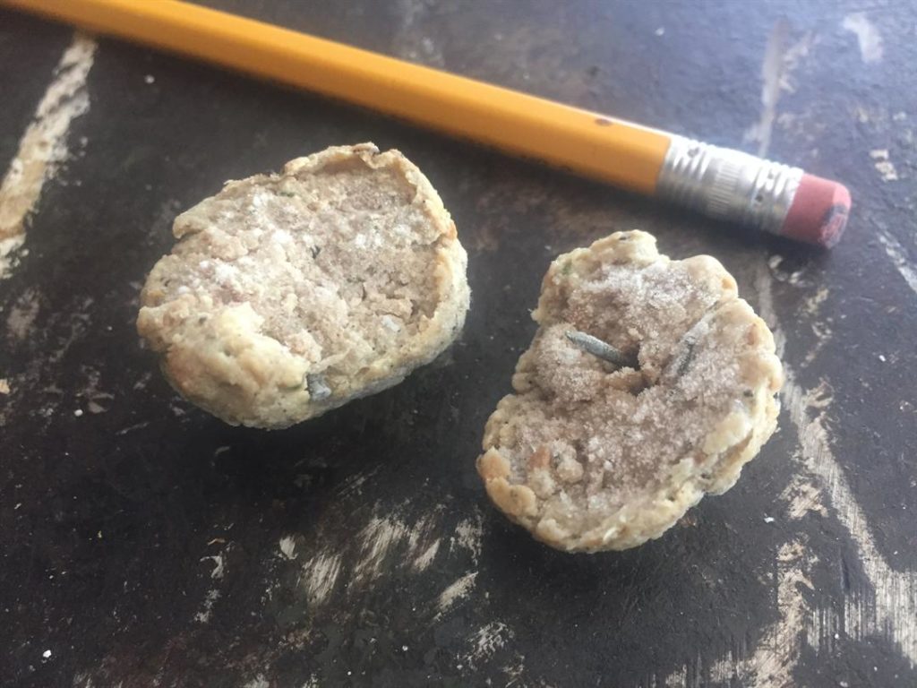 meatballscarrierdog