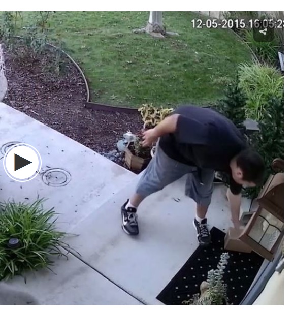 porchpirates