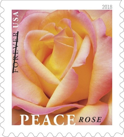 peace