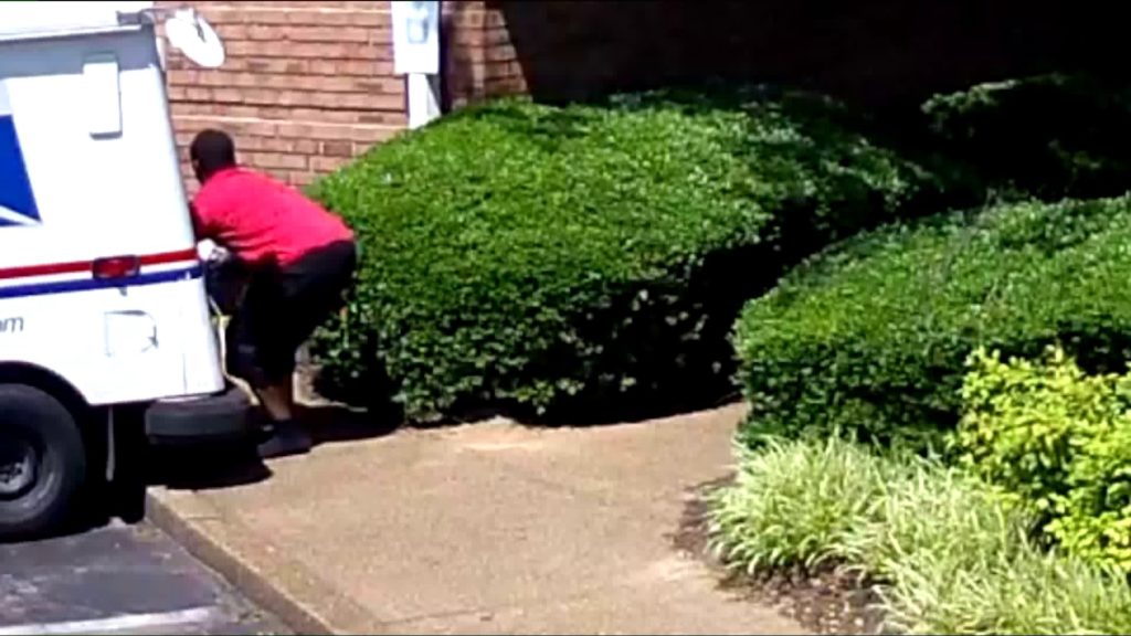 mailtheft 618