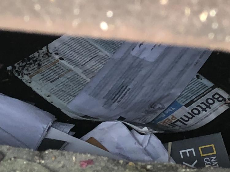 maildrain18