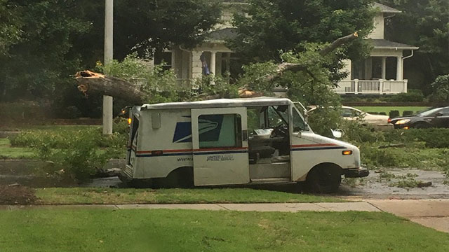 tree on usps truck 640x360_1533606349581.jpg_5894585_ver1.0_640_360