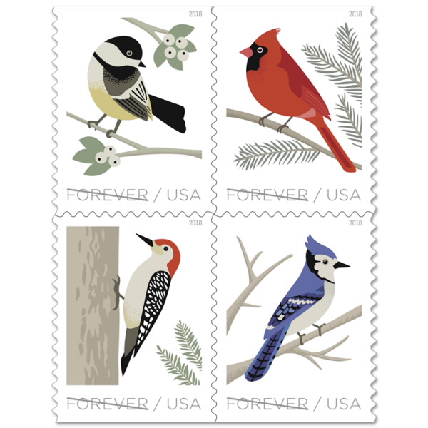 birds
